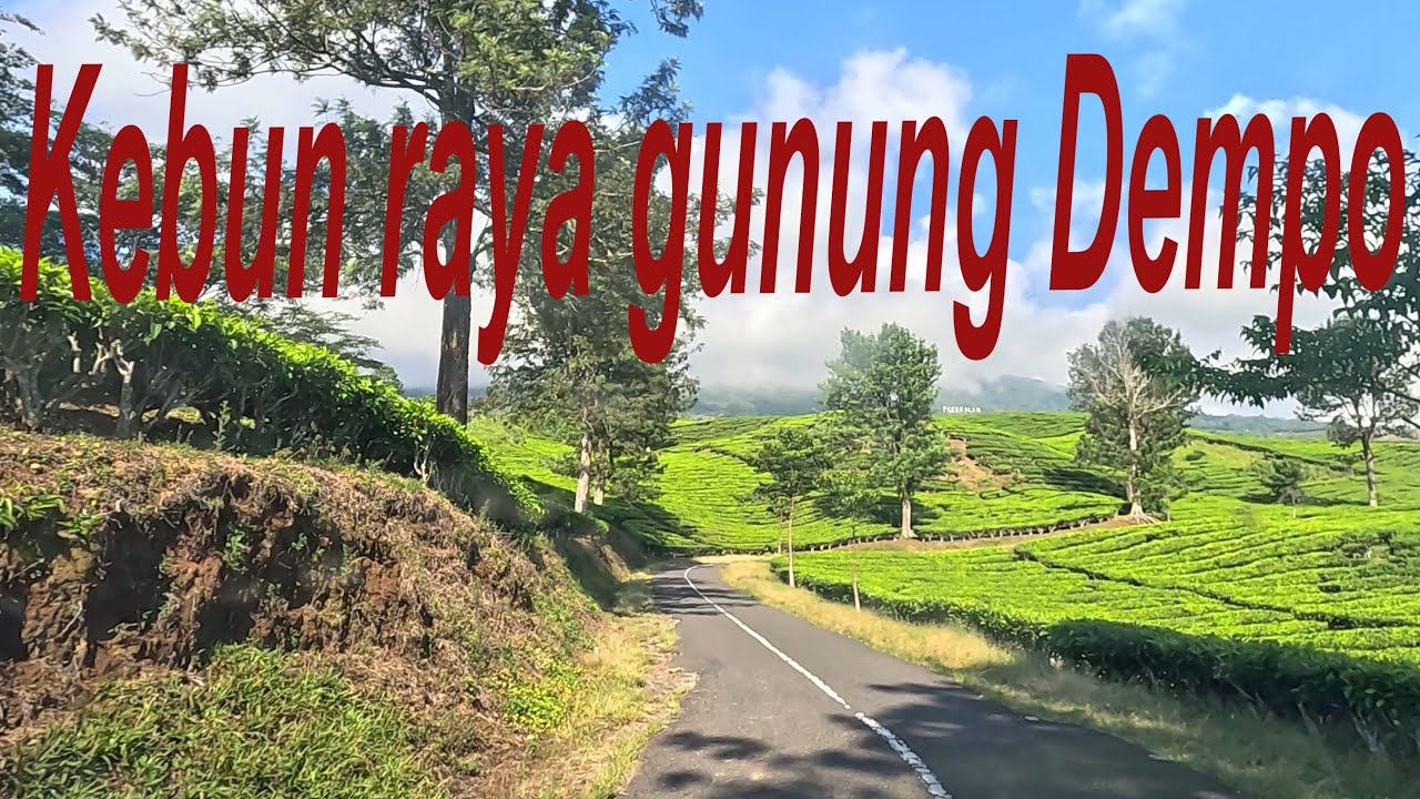 KEINDAHAN KOTA PAGAR ALAM DAN KEBUN RAYA GUNUNG DEMPO - Desember 2023
