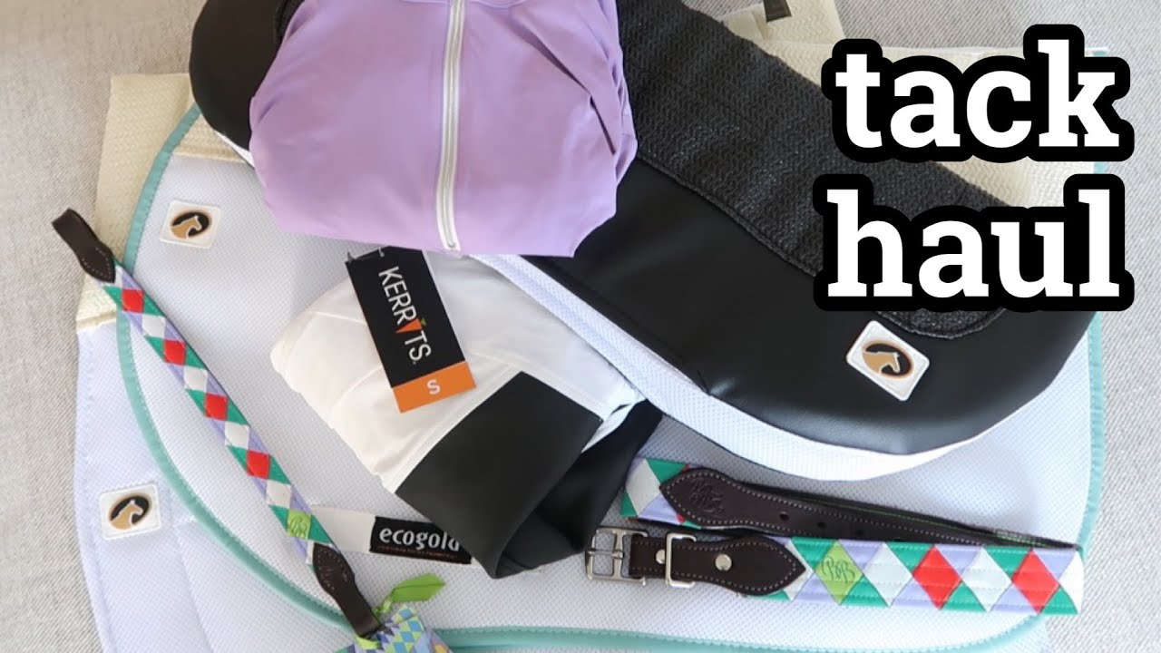 Tack Haul // Ecogold, Kerrits, Dover, Boy-O-Boy Bridleworks, Super XC
