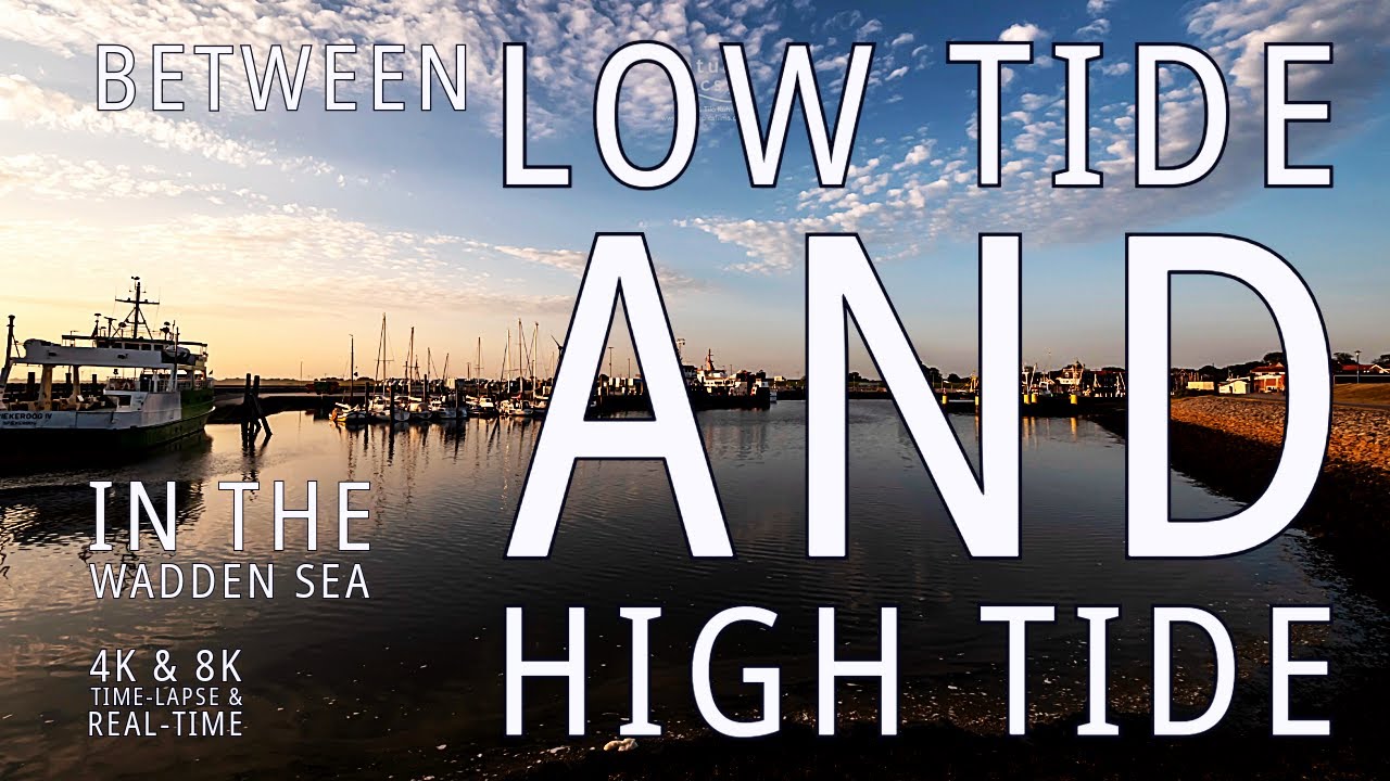 Between low tide and high tide in the Wadden Sea pt.2 | a 1-hour time-lapse and real-time film