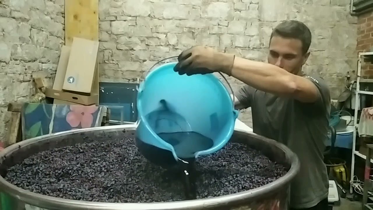 MATEJ BODLOVIĆ, Pro&scaron;ek (Bol - Brač)