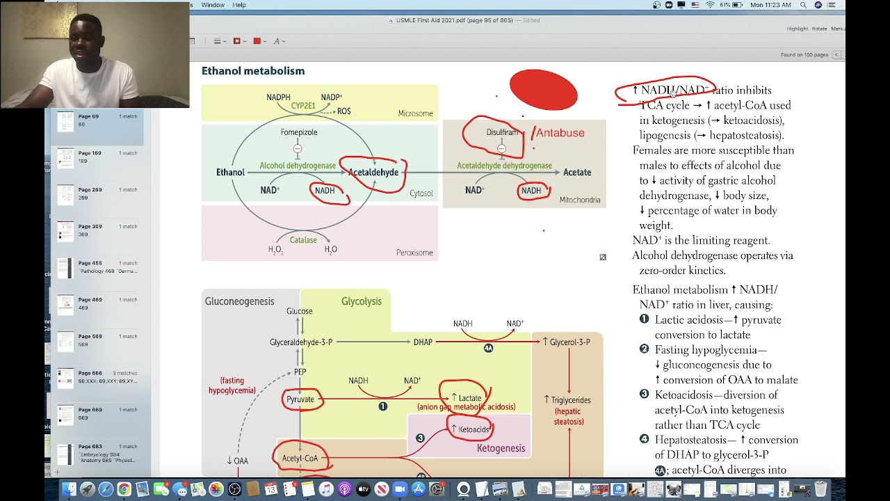 USMLE FIRST AID Biochemistry Review|| MADE EASY|| Metabolism Part 1|| HIGH YIELD || USMLE BOOSTER MD