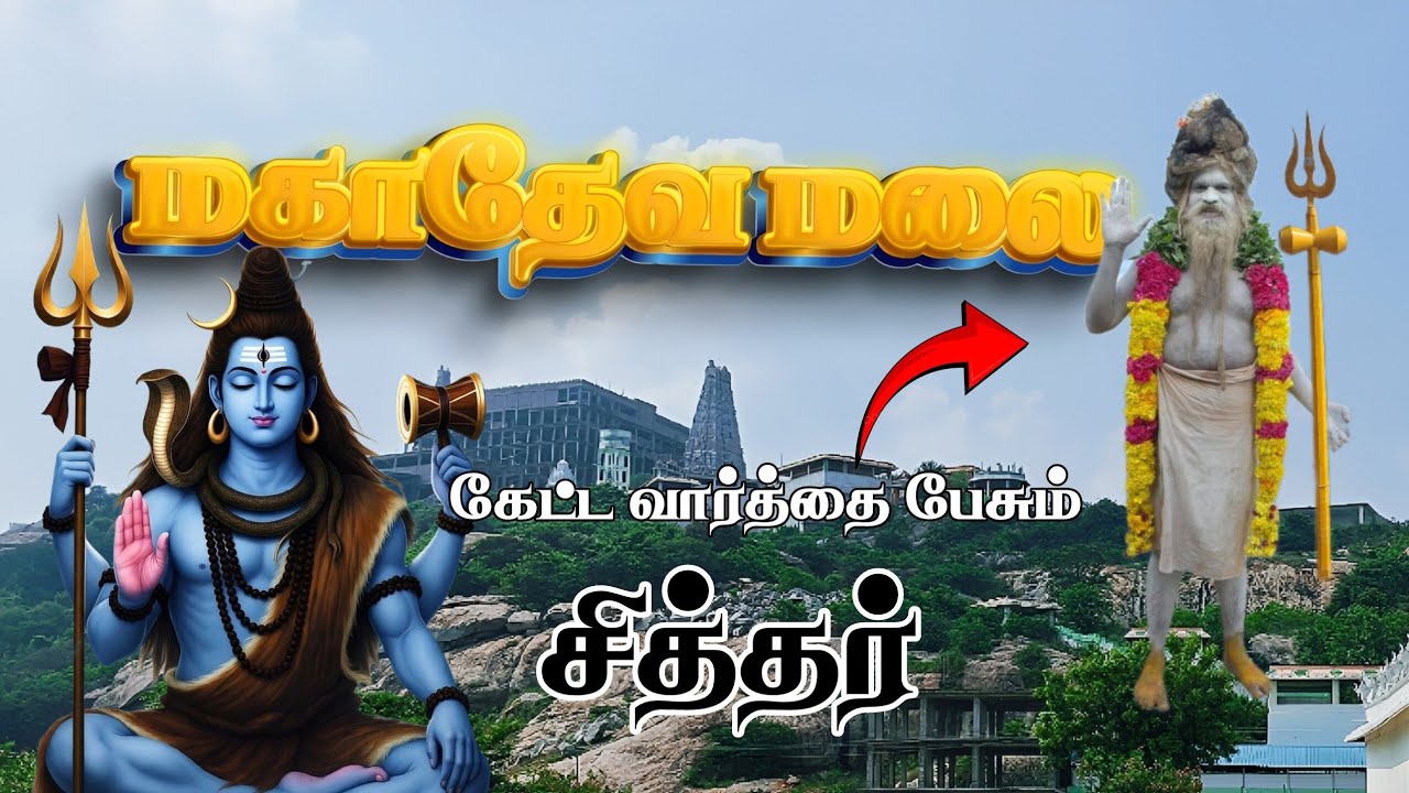 கேட்ட வார்த்தை பேசும் 🔱🪔ஸ்ரீ மகானந்த சித்தர்🧘‍♂️#viral #vellore 