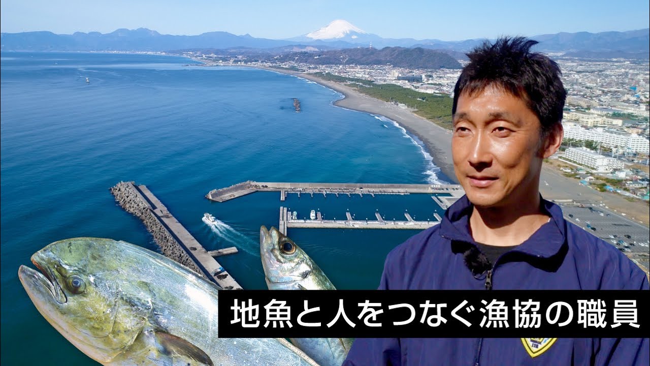 ひらつかシングス Vol.06 地魚と人をつなぐ漁協の職員