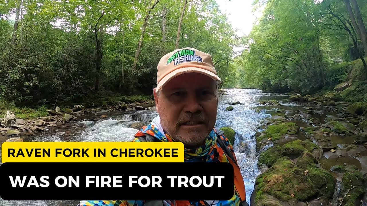 Trout Fishing Raven Fork In Cherokee, N.C.