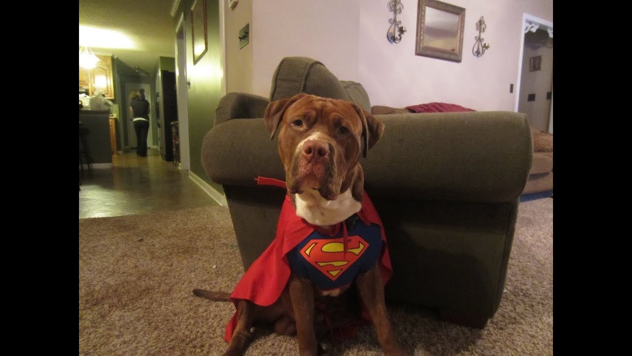 SUPERMAC!