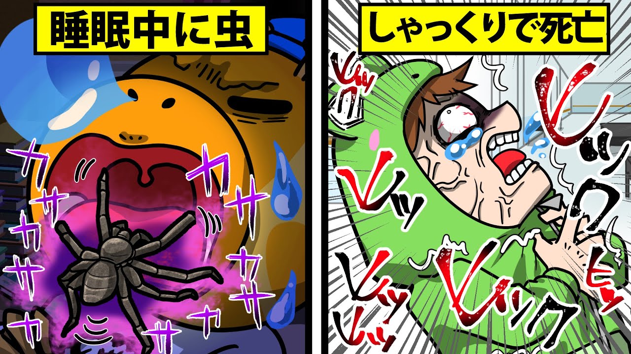 あなたの信じているものそれは全て嘘です。【怖い話】【アニメ】【都市伝説】