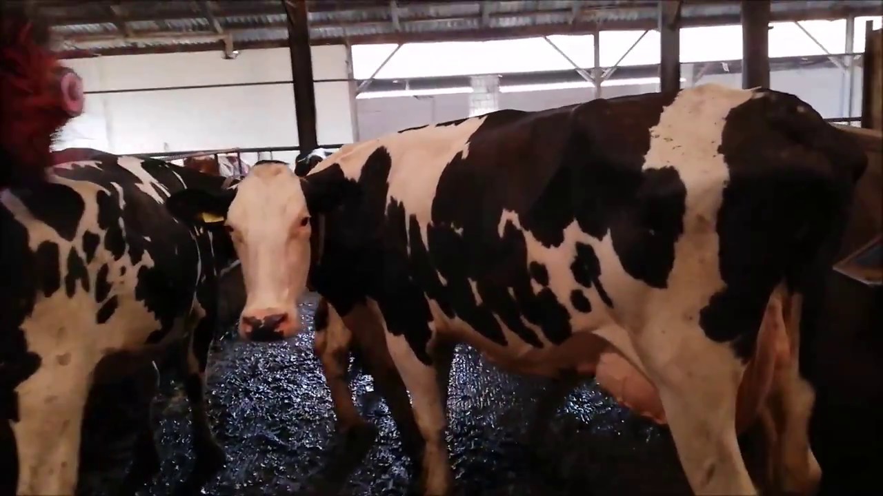 Lato 2018 GR Matysiak