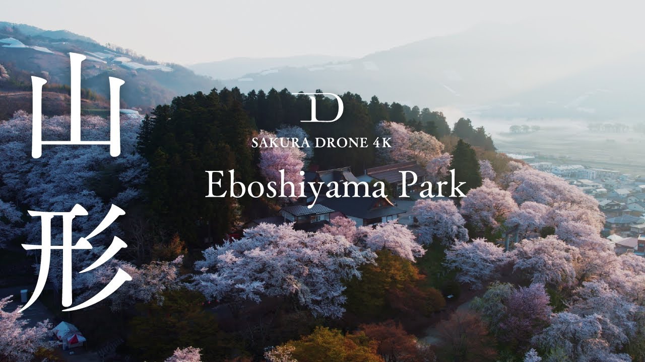 [桜ドローン撮影4K]山形県南陽市 烏帽子山公園, 双松公園 / Eboshiyama Park, Nanyo, Yamagata | 桜ドローンプロジェクト