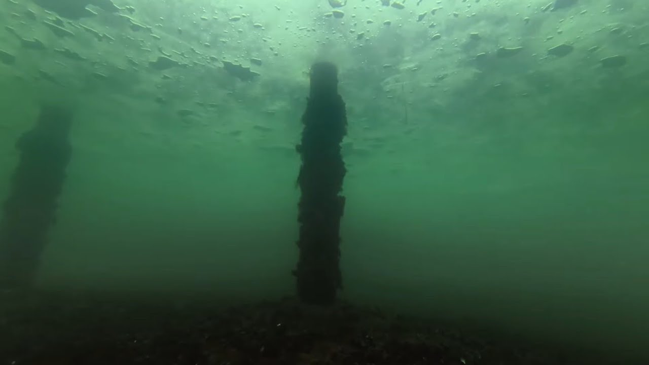 Pluschowhafen Kiel 24.01.26