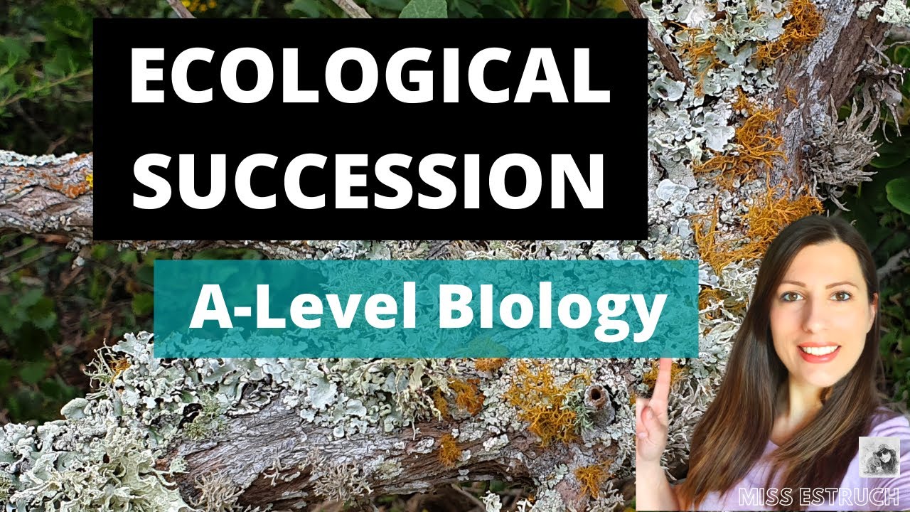 Ecological Succession: A-level biology.  Primary & secondary succession &each seral stage explained