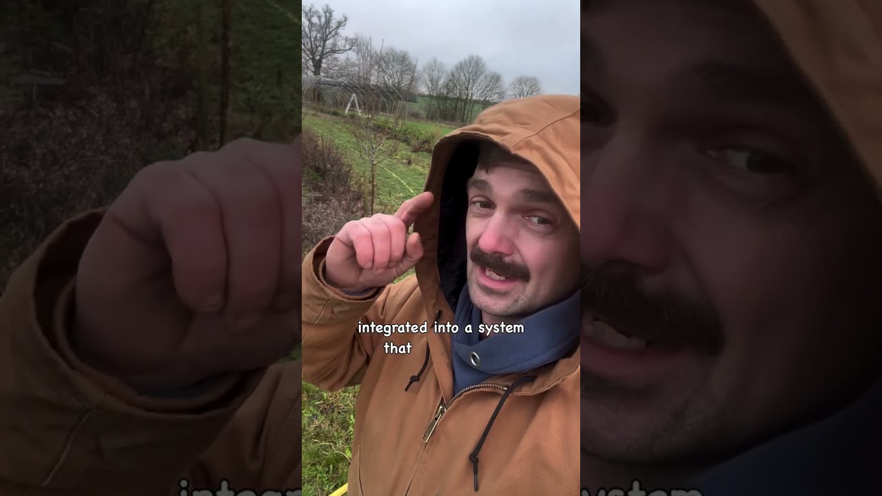 What&rsquo;s better for sequestering ? #farm #farming #grow #uk #usa