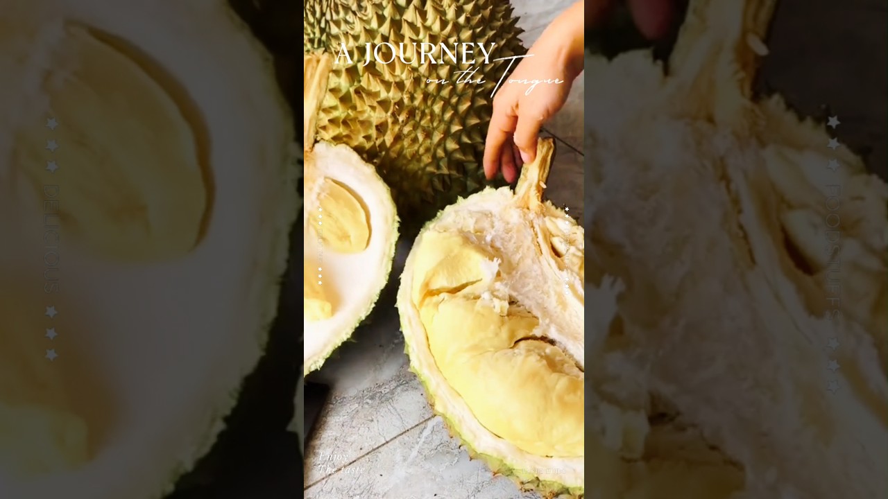 Sầu riêng ri6 cuối mùa 