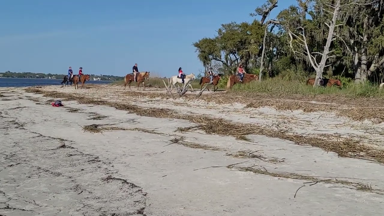 Jekyll Island Fishing Pier