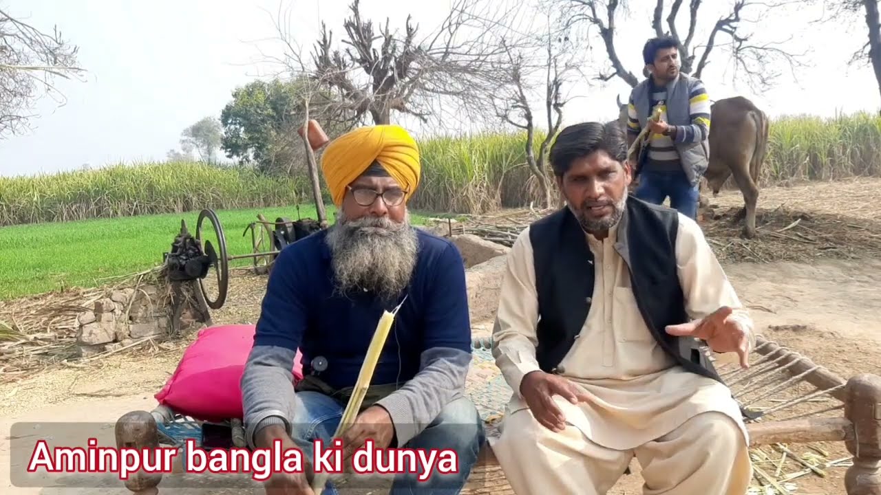Gurmeet Singh Nal gal bat|Aminpur Bangla ki dunya|Desh Darshan|Saray rung punjab dy|Pind 34|Chak34jb