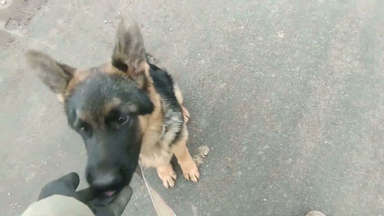 Reks 5mes  Utvrdjivanje naucenog u proteklih mesec dana