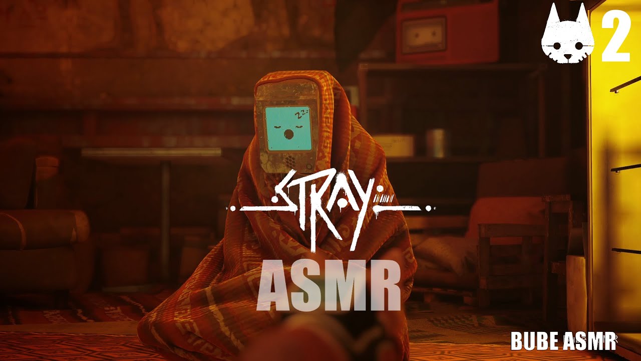 Stray ASMR - Te dormiras como ellos gracias a este video