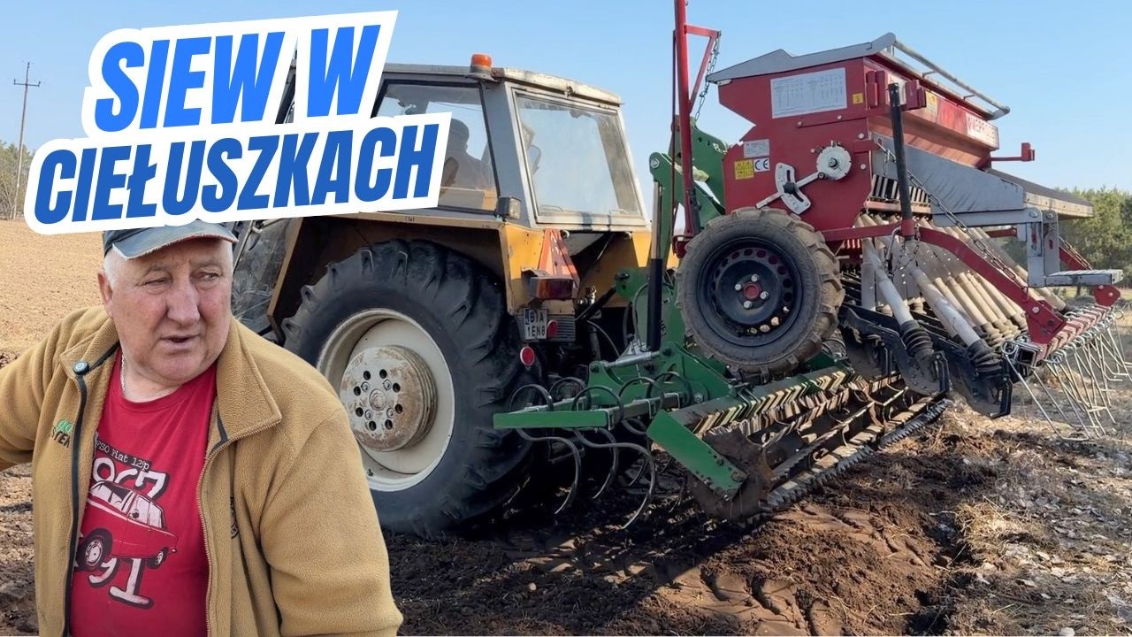 Siew w Ciełuszkach