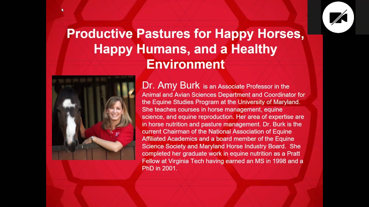 Productive Pastures for Happy Horses, Happy Humans, and a Healthy Environment
