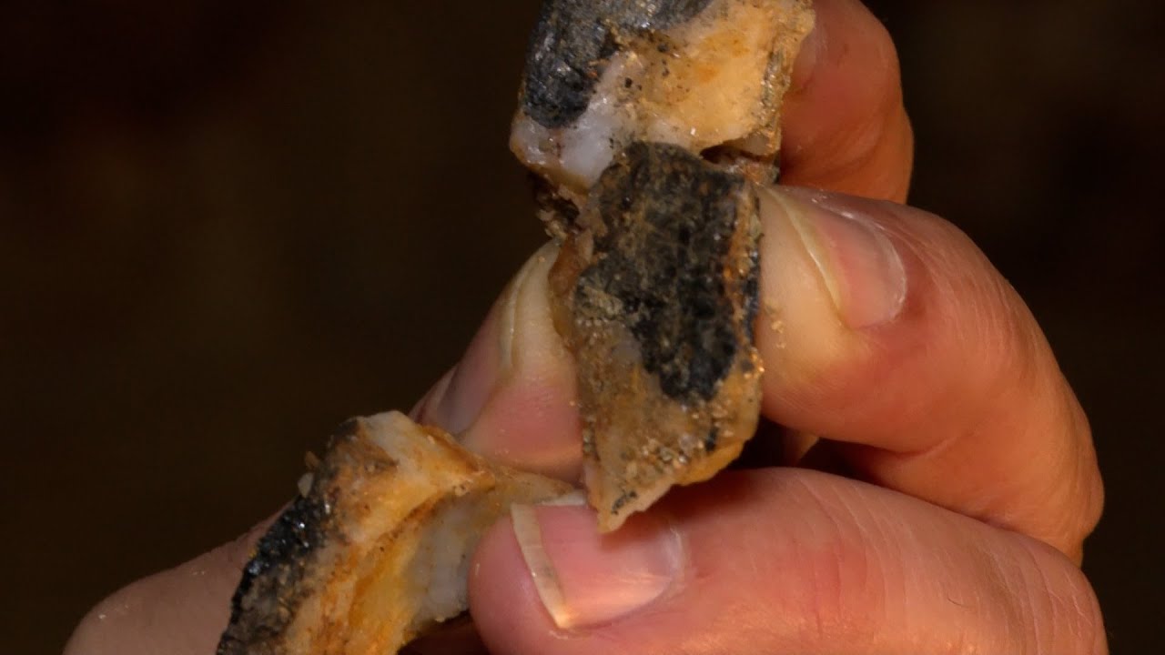 ¿Conoces el mineral de la guerra? | Naturaleza viva