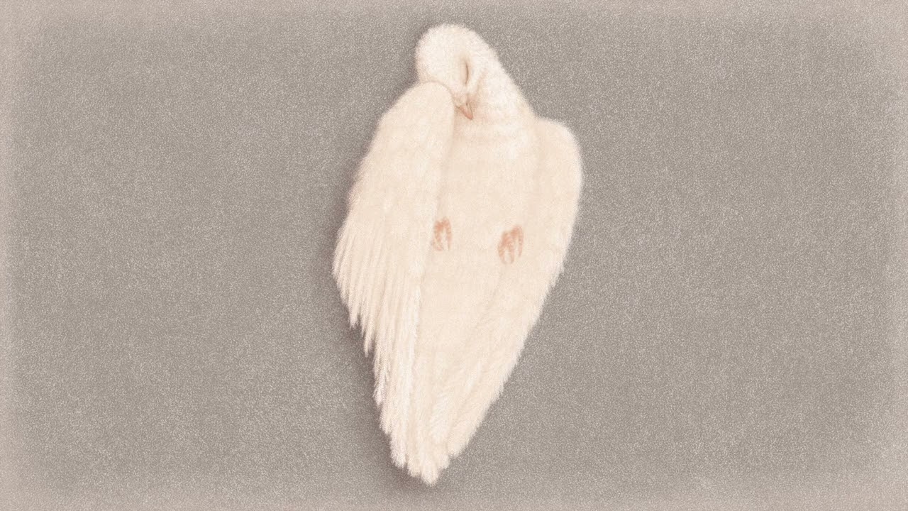 Dove - Lullaby Version (antihoney cover)