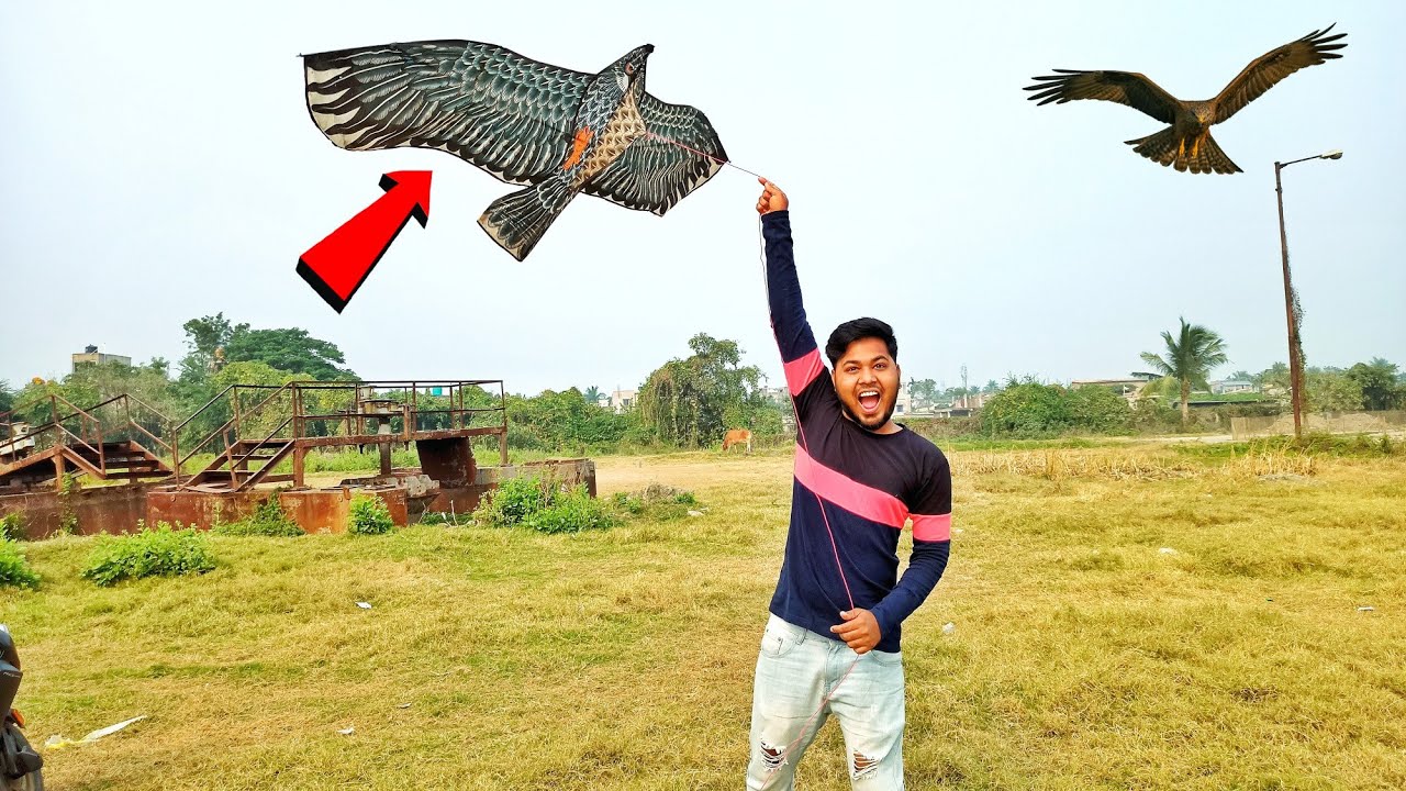 সবচেয়ে বড় ইগল ঘুড়ি ওড়ানো ||Flying Large Eagle Kite || Woo