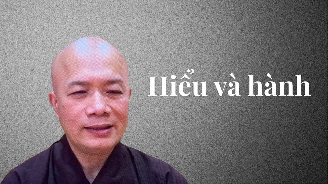 Понимание и действие. Беседа достопочтенного Тхить Минь Нгока о Дхарме во вторник утром, 20 январ...