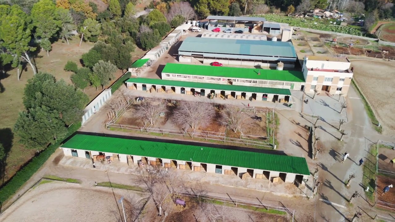 DJI FLIP