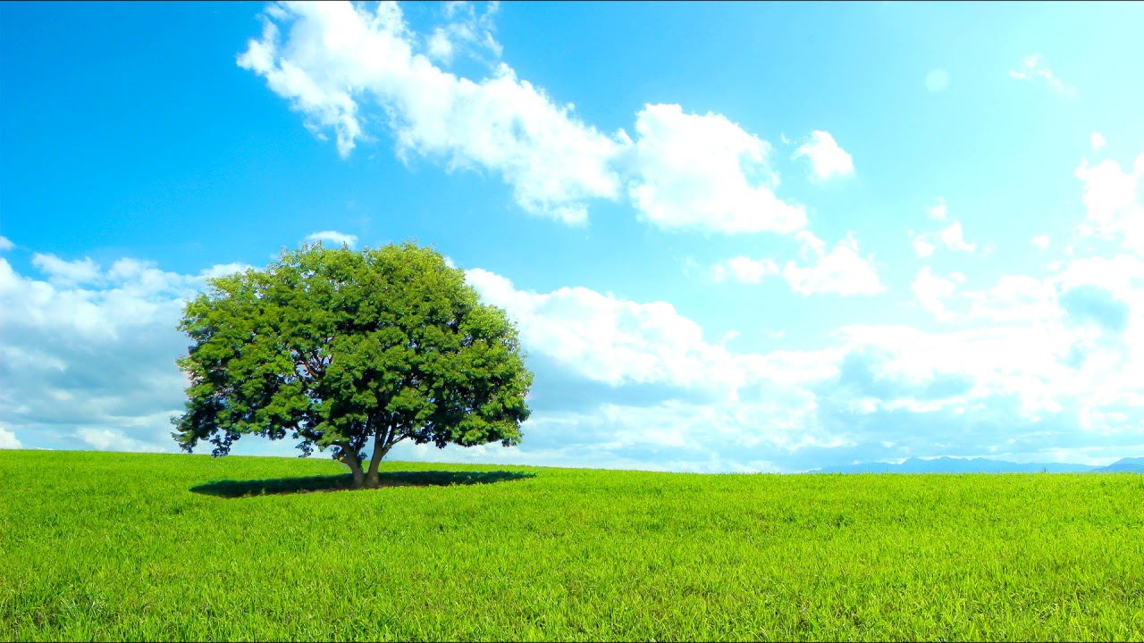 【ASMR風】3時間 自然音 爽やかな風の音 3 hours natural sound fresh wind sound