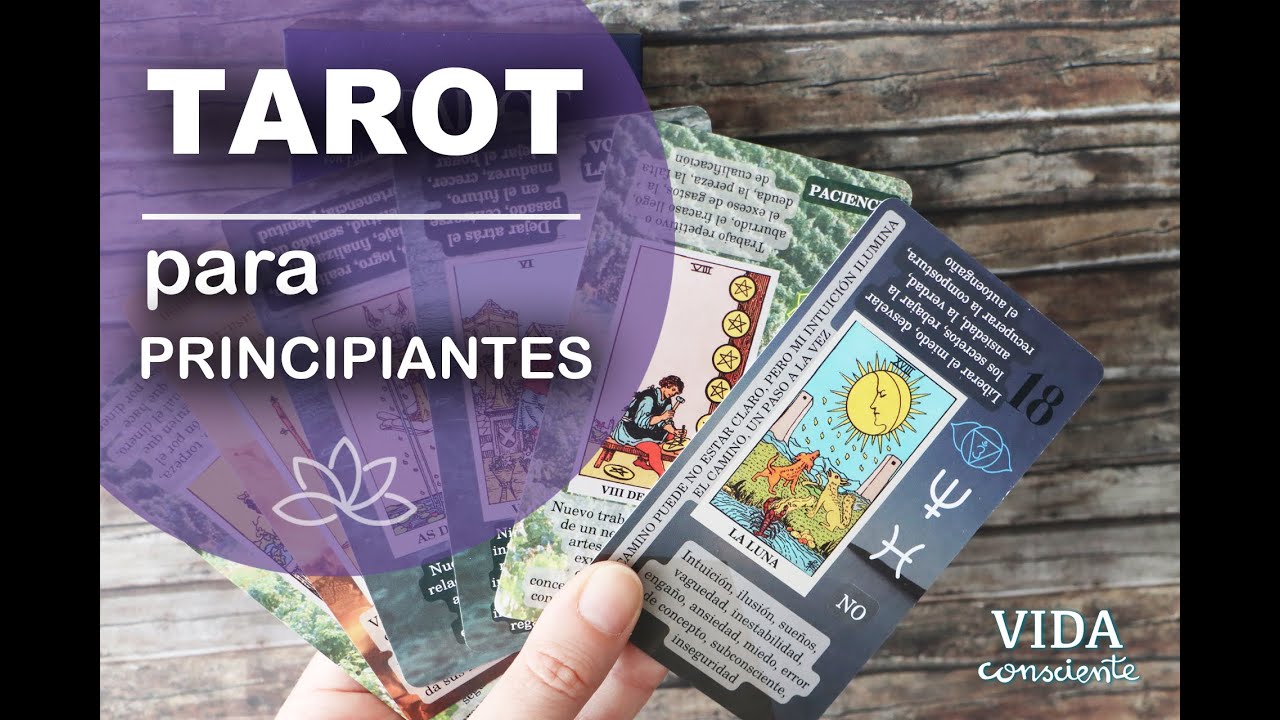 TAROT para principiantes 💜 Review baraja de cartas 🧙‍♀️  Witchy Cauldron