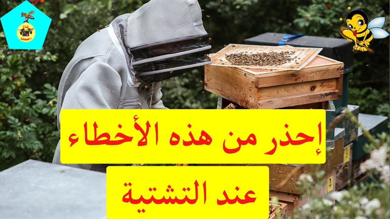 نصائح وتعليمات عن التشتية يجب عليك معرفتها قبل فوات الأوان