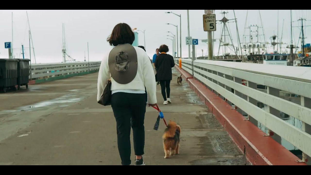 Sigma 30mm f1.4 Test Footage on the Sony ZV-E10