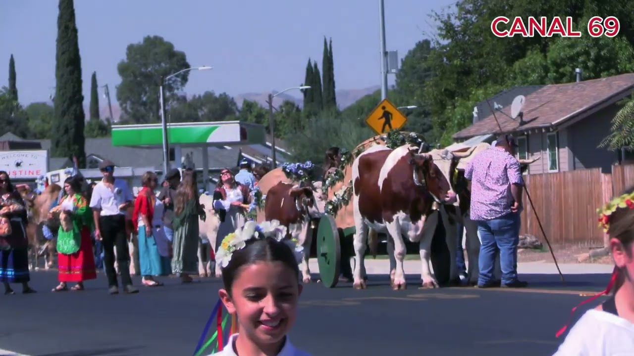 bode de leite de gustine