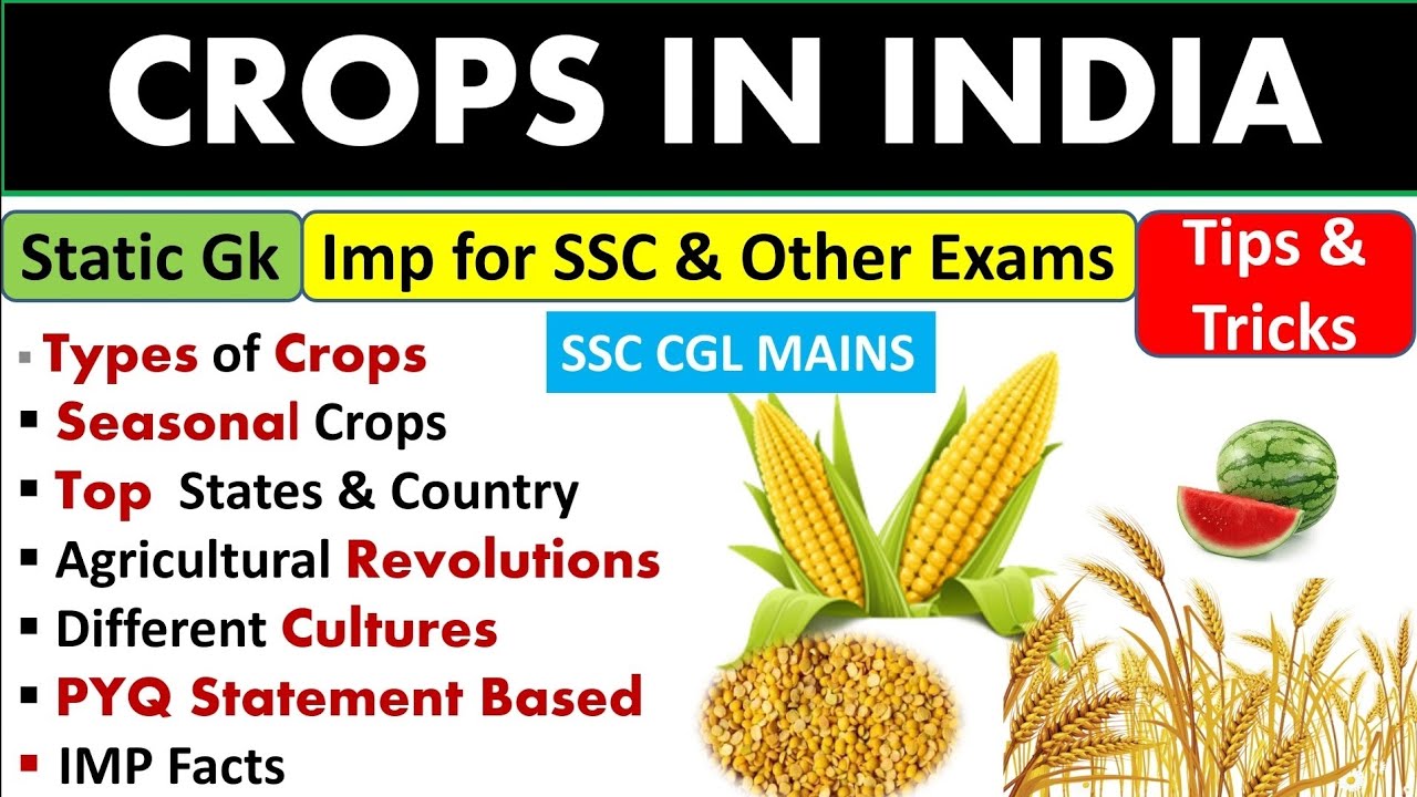 Crops in India|| Agricultural Revolution|| Static gk|| Tips and tricks🌝