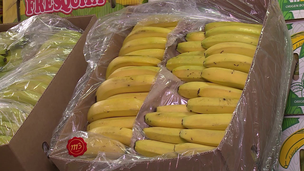Puesto 6 “Los Juanes”: ¡nadie se va sin una banana!