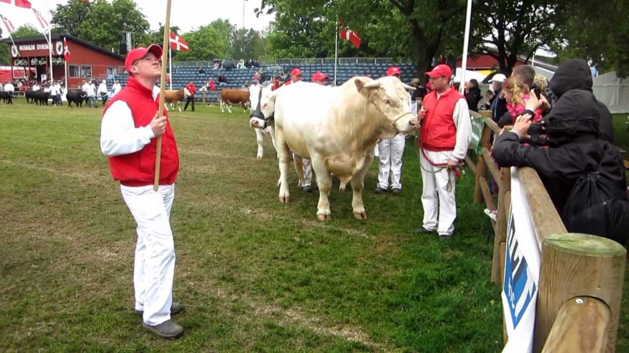 Roskilde Dyrskue