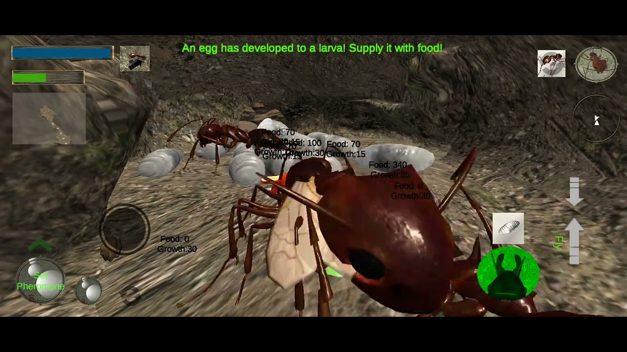 ant simlation 3d full camponotus male part 3