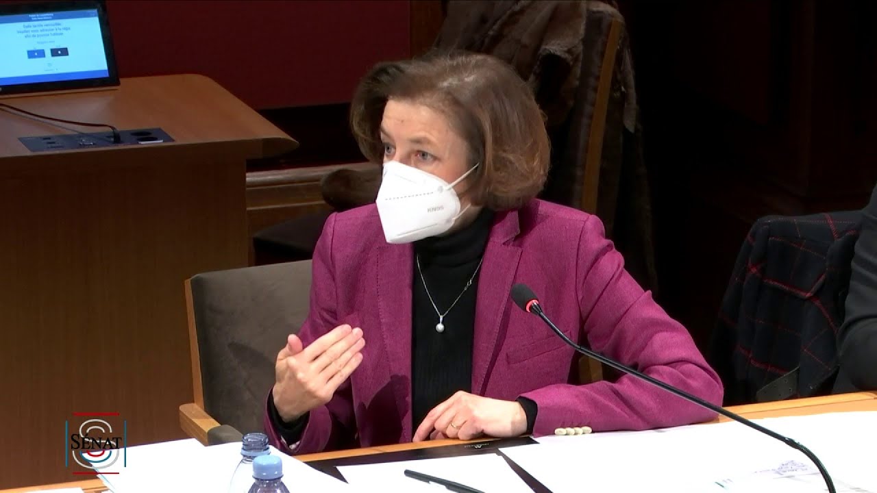 Recours aux cabinets de conseil dans l’armée : 