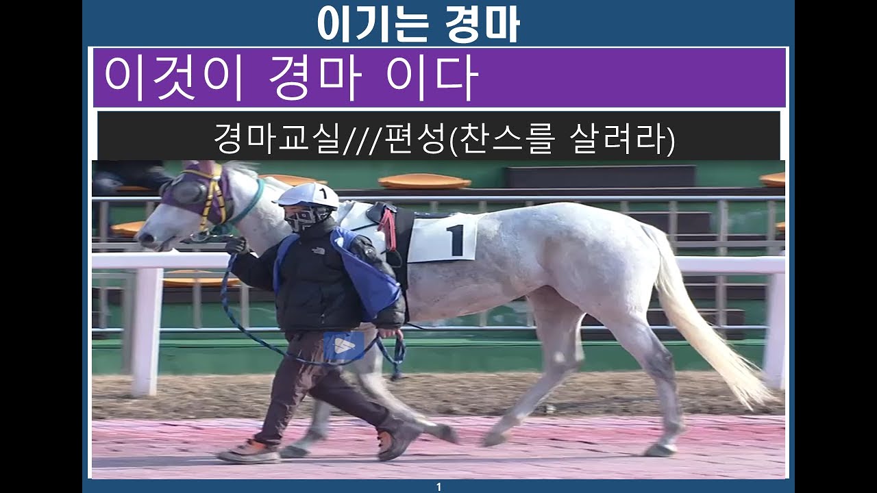 경마교실/ 편성/ 찬스를 살려라
