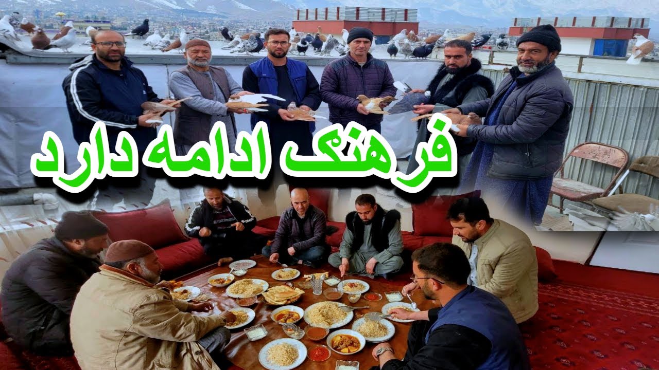 یک شوقي هر کفتر را با خون جګر به دست میاورد، آما تلف باعث جګرخوني میشود/ تحفه یک شوقي برای شوقي