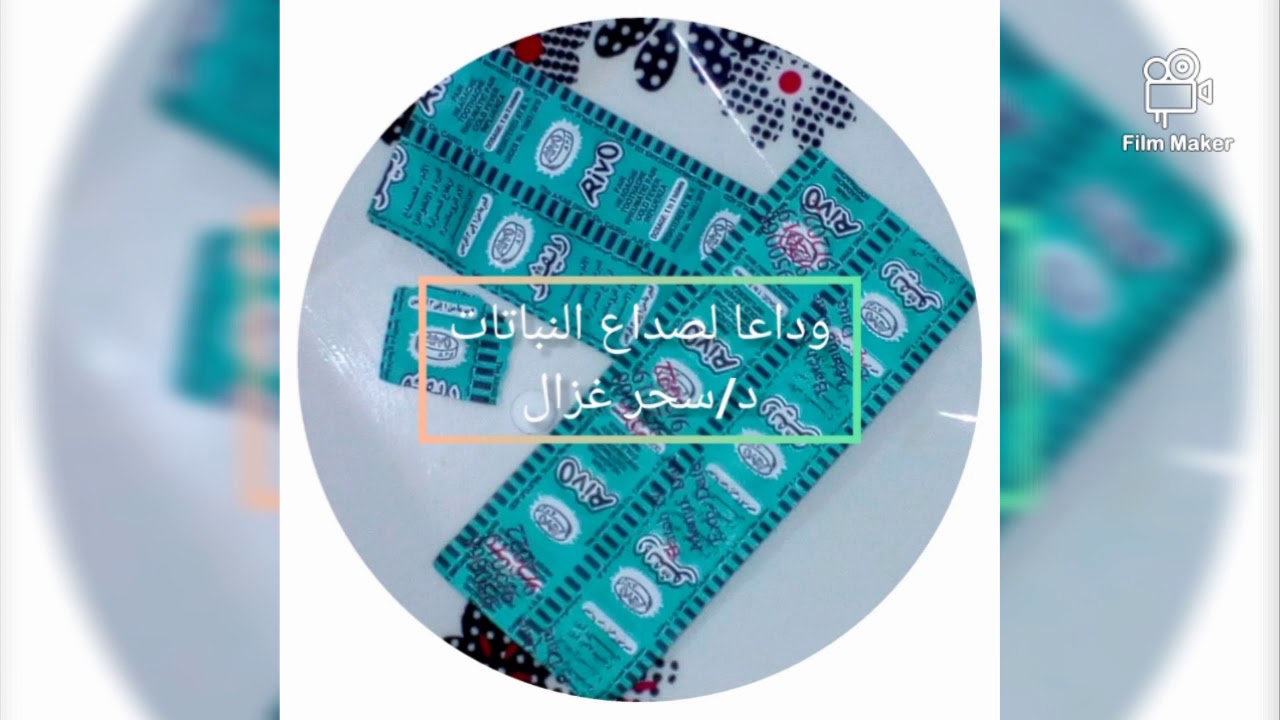 وداعا لصداع النباتات (الجزء الثاني) الريفو