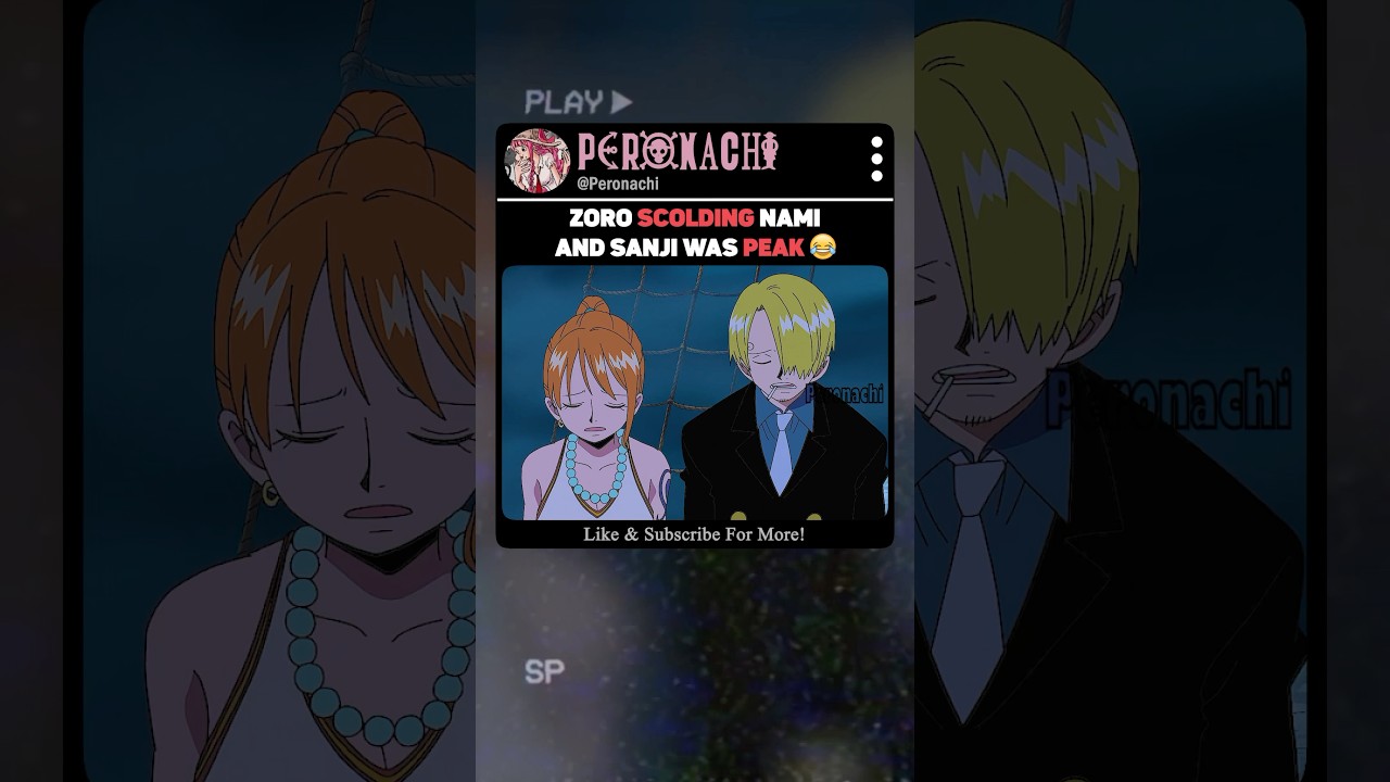Zoro scolding both Nami and Sanji #onepiece #anime #animeedit