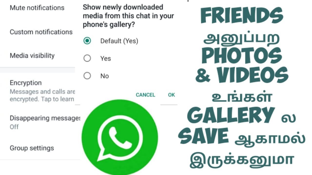 WhatsApp media visibility settings in tamil | whatsapp media visibility