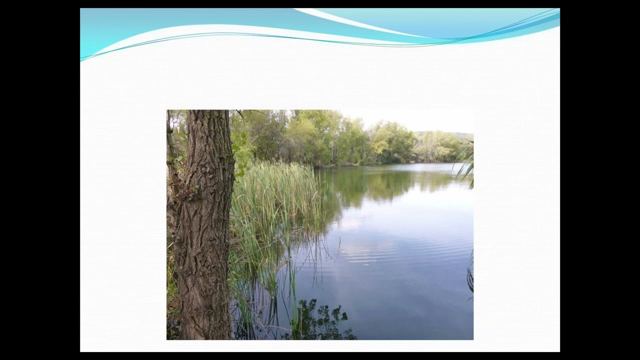 Mes conseils pour la pêche au printemps