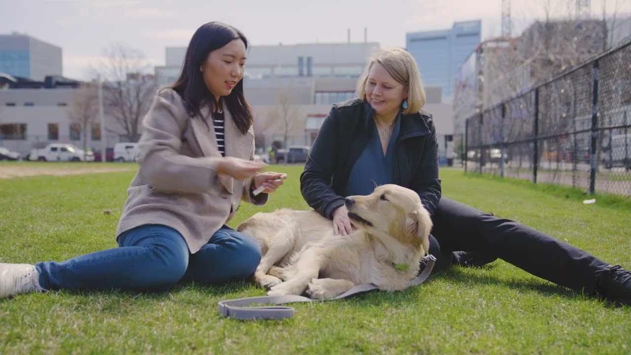 Del ADN de perros a las enfermedades humanas | Video HHMI BioInteractive