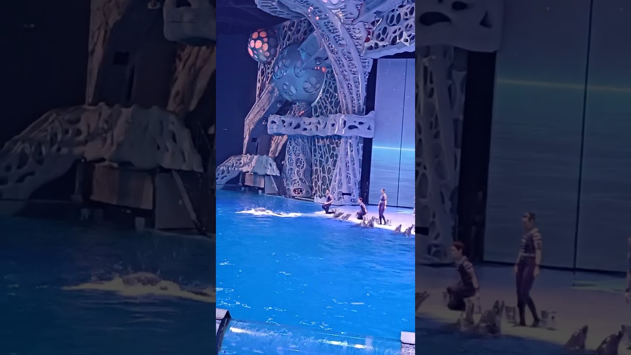 Океанариум. ВДНХ. Фрагмент водного шоу 