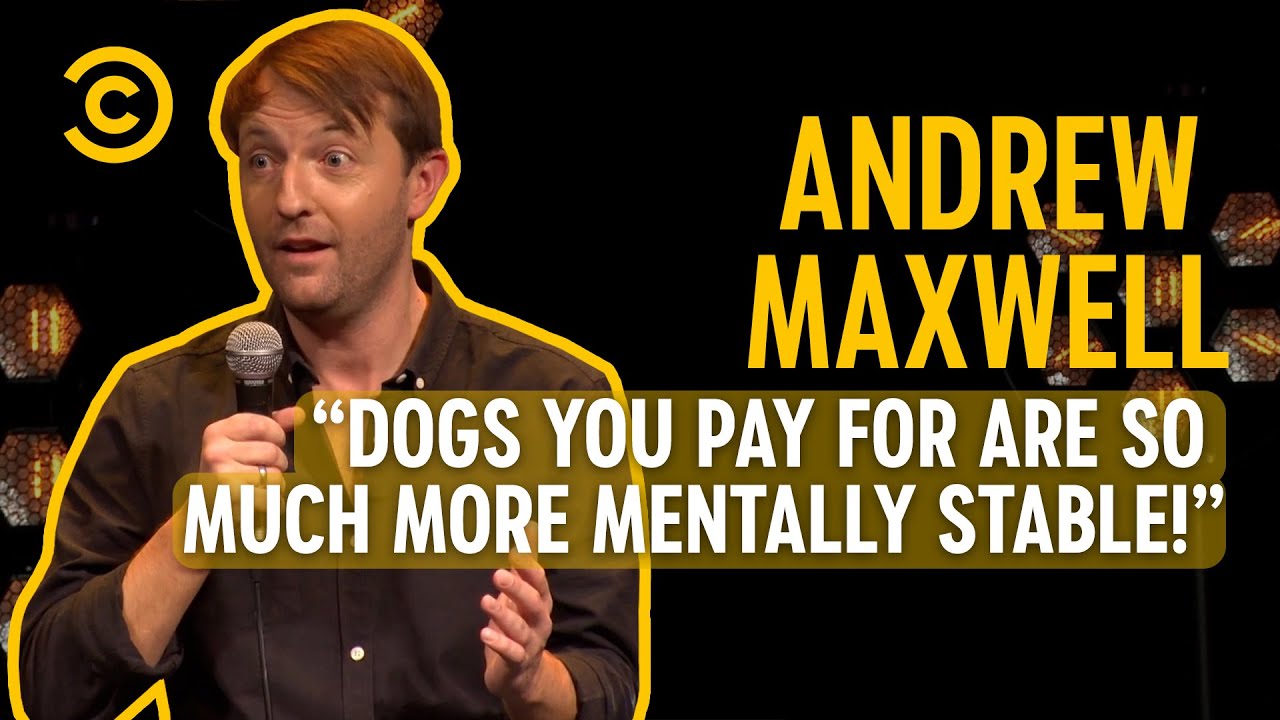 Getting A Dog | Andrew Maxwell: Yo Contraire