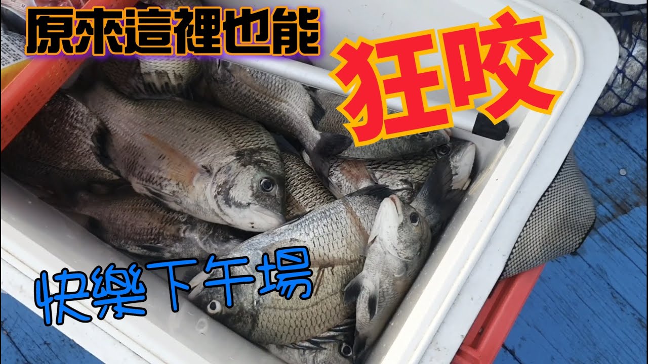 （五條港上集）竟然也這麼咬，釣組這樣做，馬上中魚