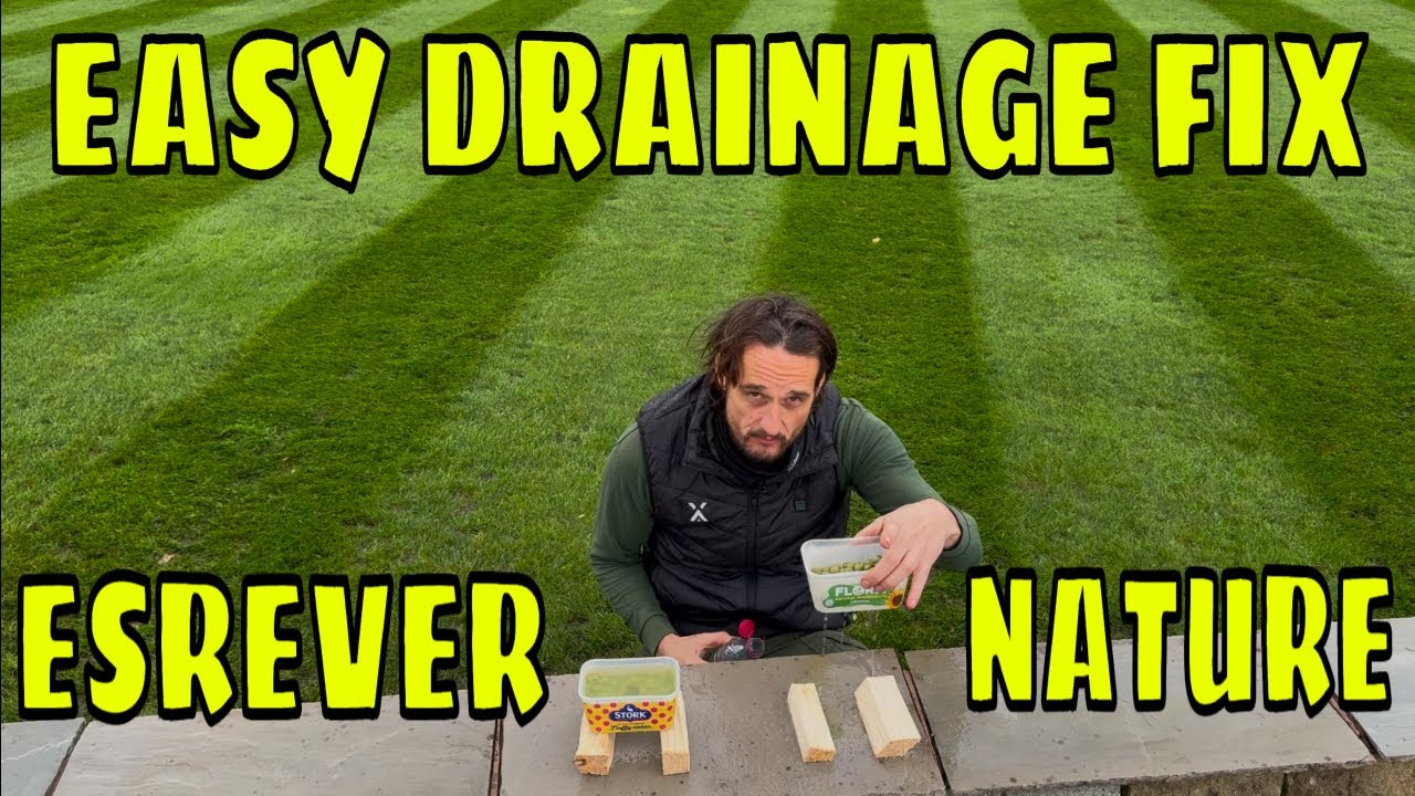 Simple DRAINAGE Fix In Your Lawn Using Nature