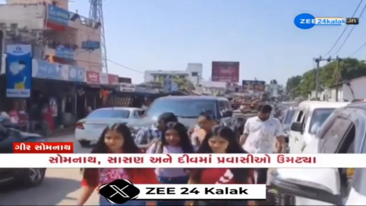 Diwali vacation sparks tourism boom in Gir-Somnath : Tourists Flock to Sasan Gir for Lion Sightings