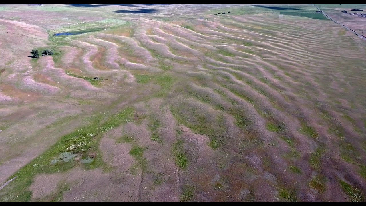 Camas Prairie Ripples
